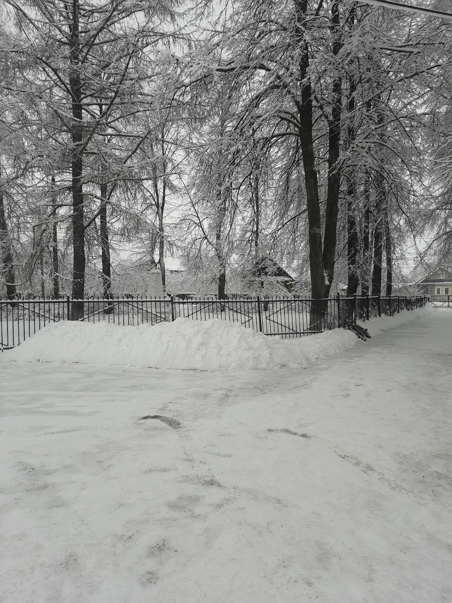 фото автора. Кто-то приехал на велосипеде, если присмотреться, то видно около забора. Я даже вспомнила, кто на нём вечером ехал. 