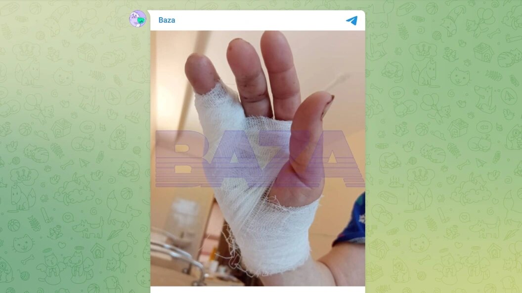    Телеграм-канал «Baza»