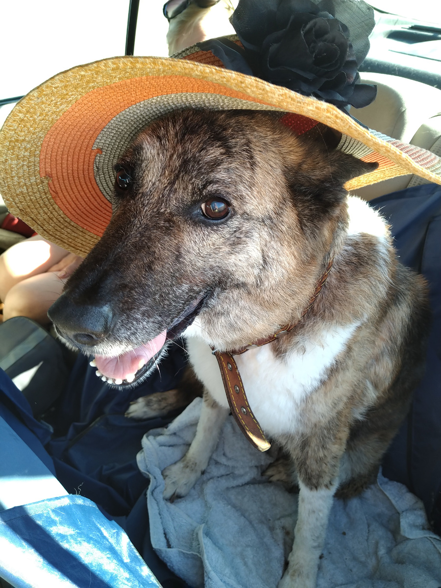 Моя любимая Тина, одно из псоледних фото