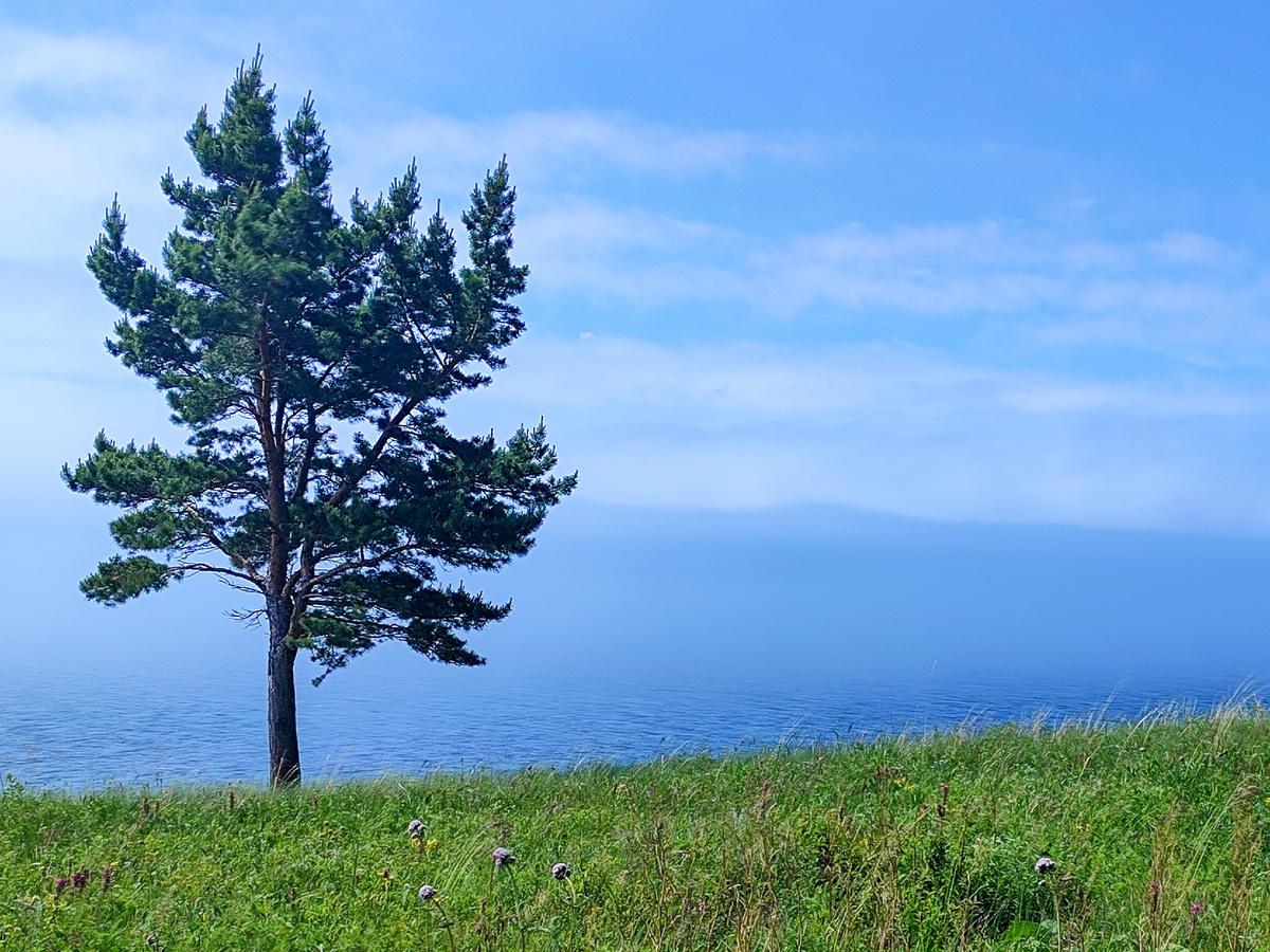 ...к мысу Кадильный и кордону
