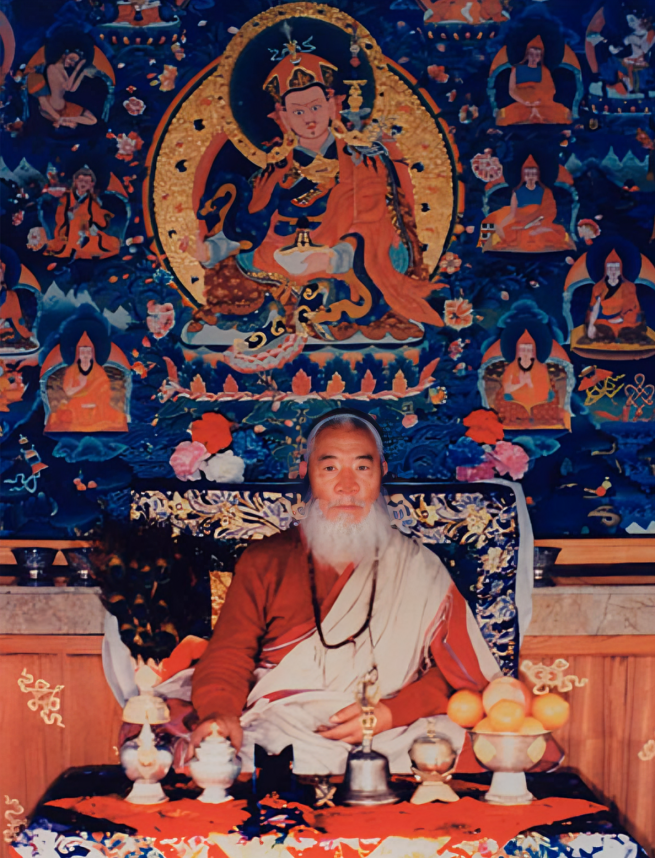 Чатрал Ринпоче. Фото: eshedrugpa.wordpress.com