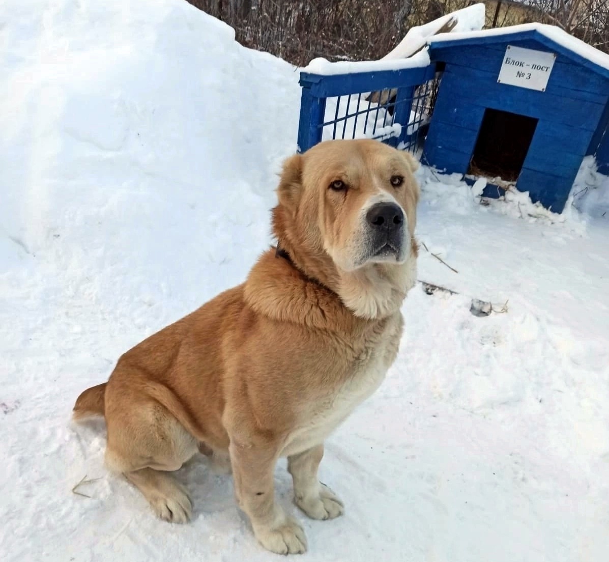 Вулкан на посту