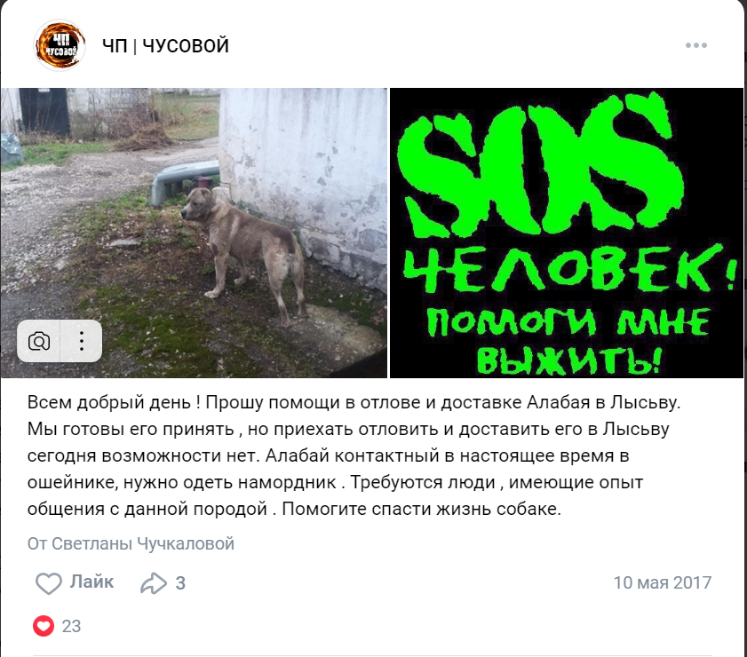 Пост в городском паблике в далеком 2017 году