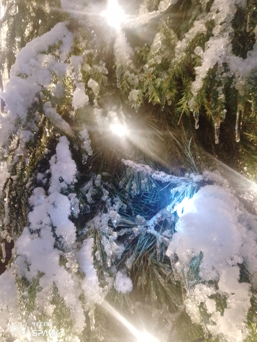 Фото автора. Зимняя сказка.