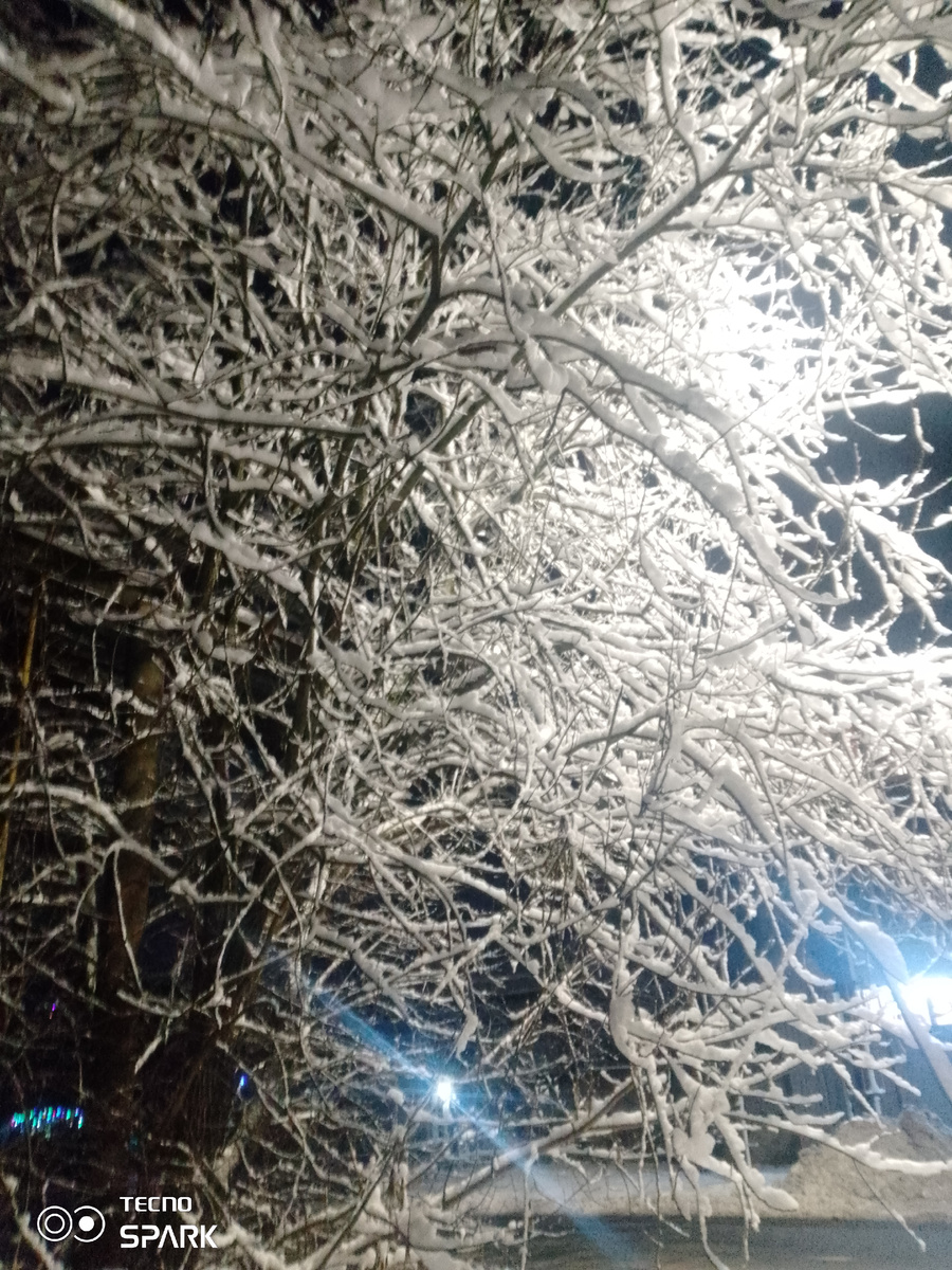 Фото автора.