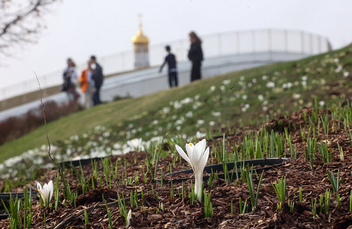    Ярослав Чингаев/АГН «Москва»