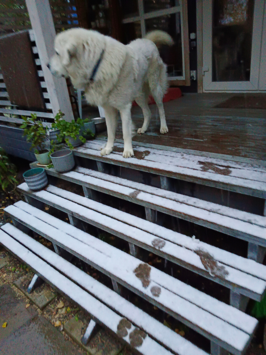 Самое опасное время года - межсезонье