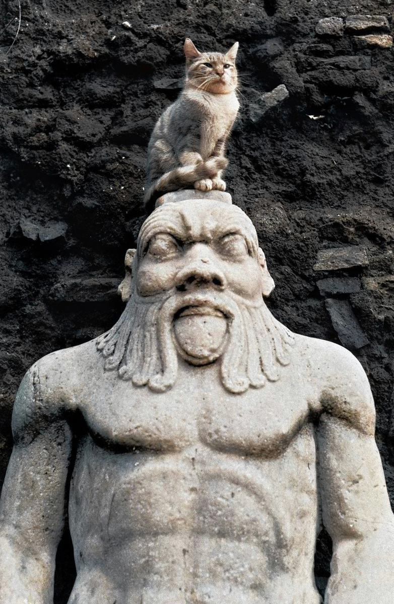 Фотограф: Эллиотт Эрвитт