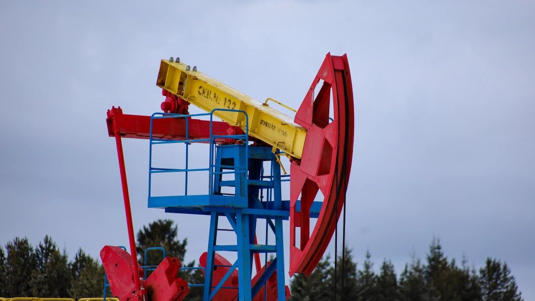    Elena Mayorova/Globallookpress