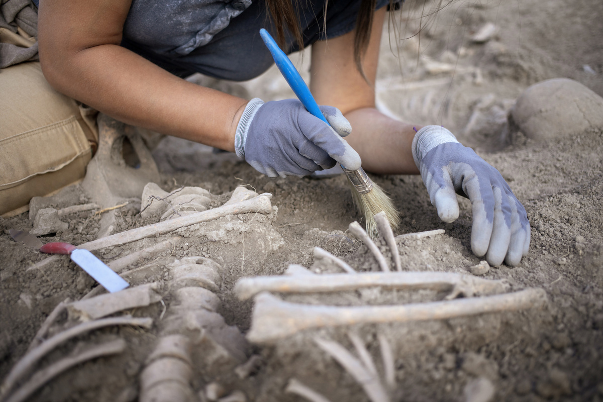 Bratislav Stefanovic/istock