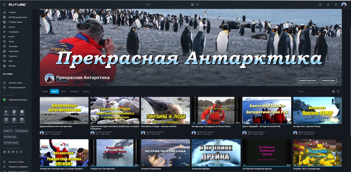 Антарктический туризм. Всё что можно увидеть путешествуя в Антарктике на круизном судне.