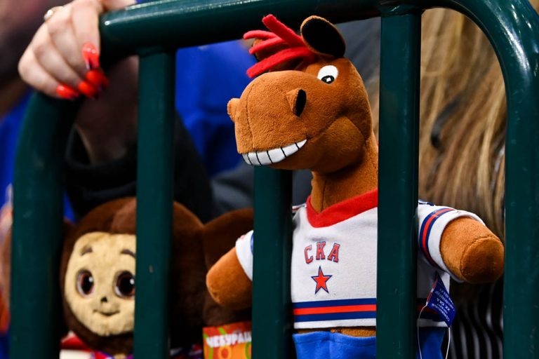    Фото: Официальный сайт ХК СКА Алина Колупаева