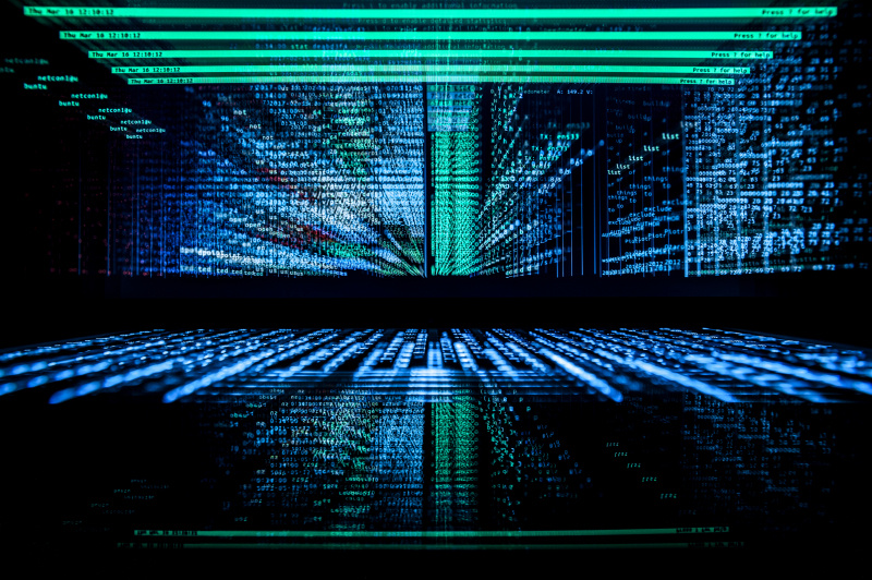    Фото: Silas Stein/Globallookpress