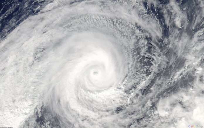 Фото: in.pinterest.com