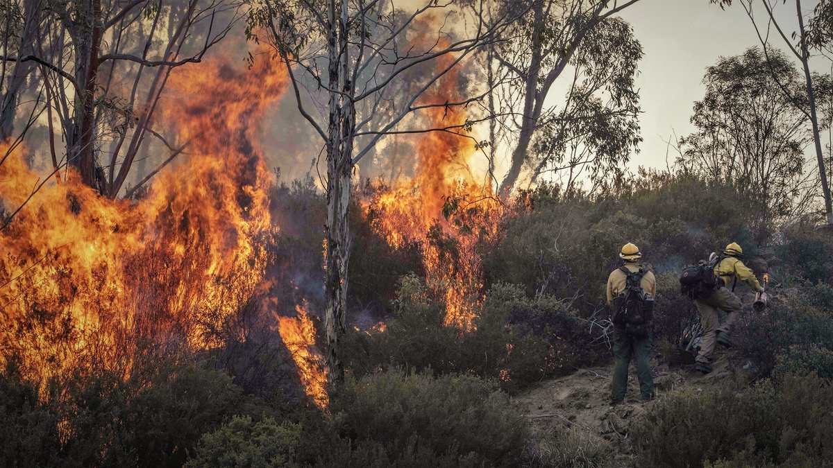 Маршрут лежал через лес, в котором неожиданно вспыхнул пожар