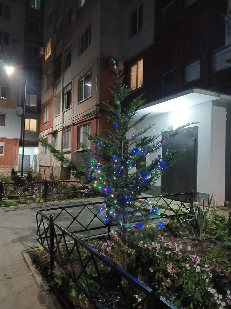 Раз-два-три, ёлочка, гори! Фото Галины малышевой.