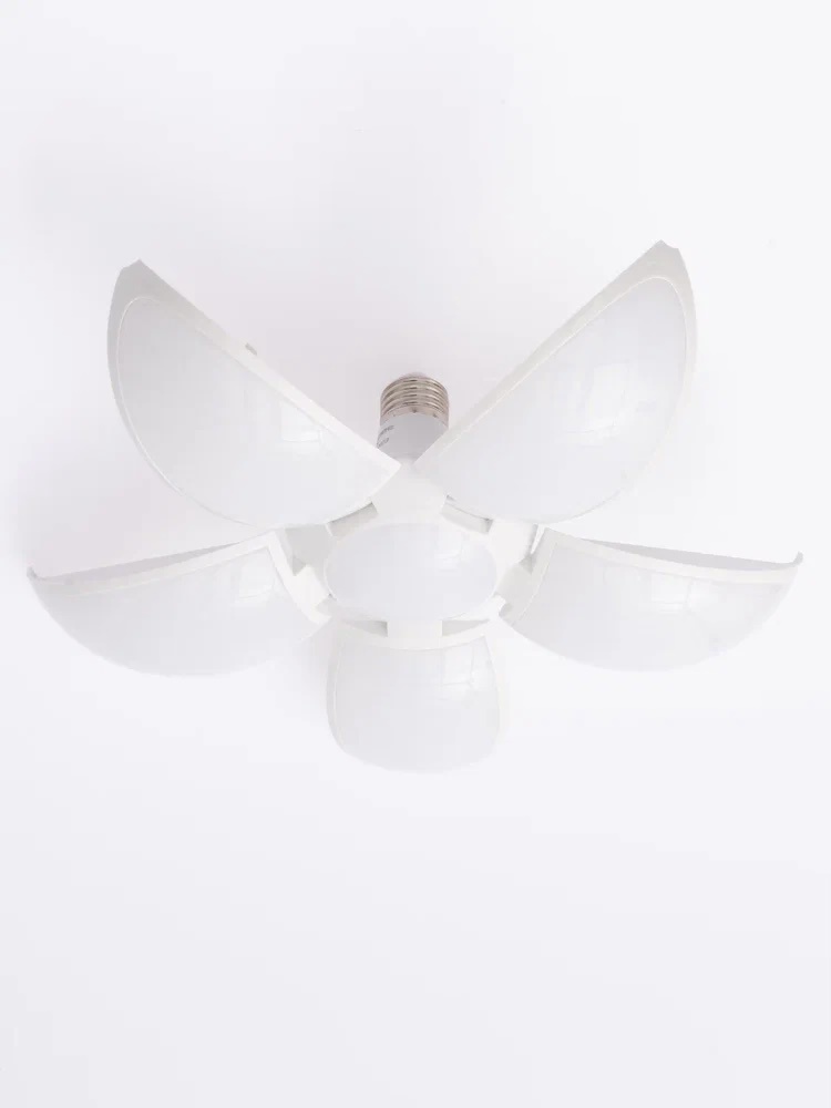 На фото: модель Lushere 