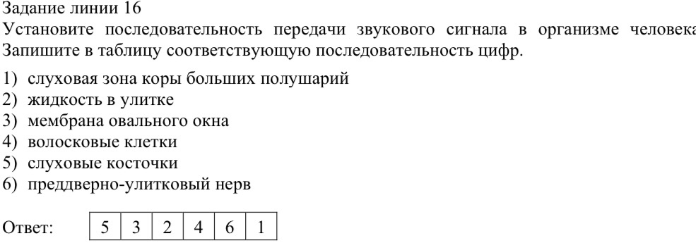 Здесь нужно понимать как работает слуховой анализатор. И прям визуально представлять как движется эта звуковая волна. 