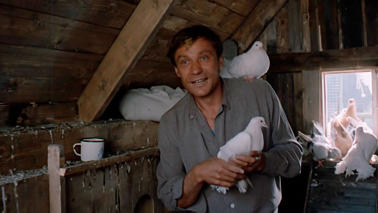 Кадр из кинофильма Любовь и голуби