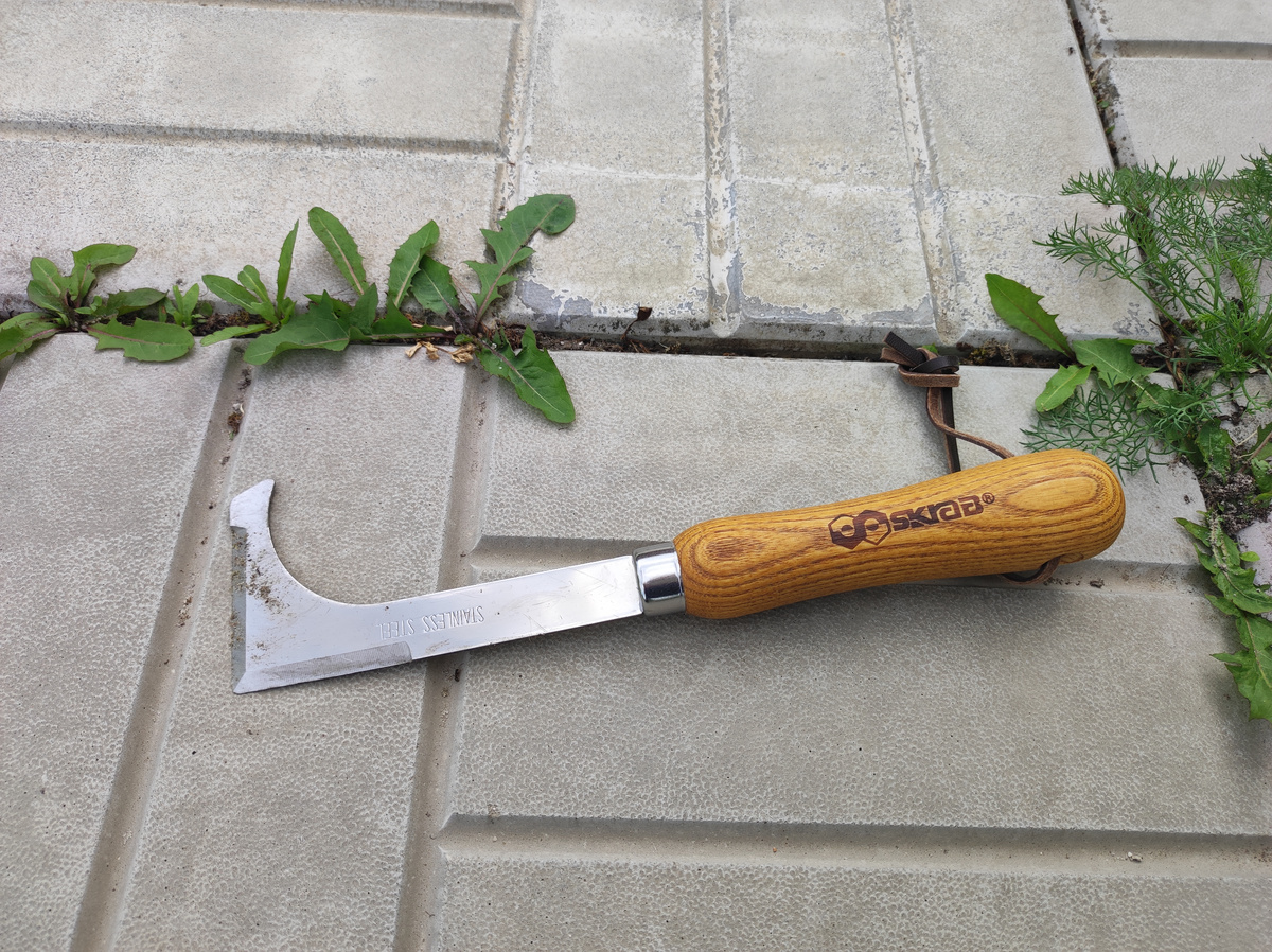 Фото автора, удалитель сорняков, август 2024 год