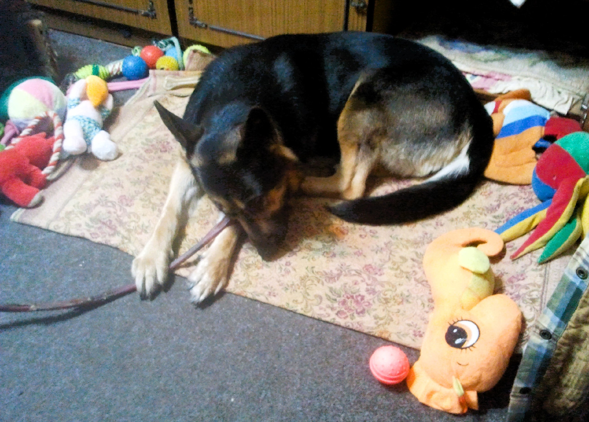 Фото автора