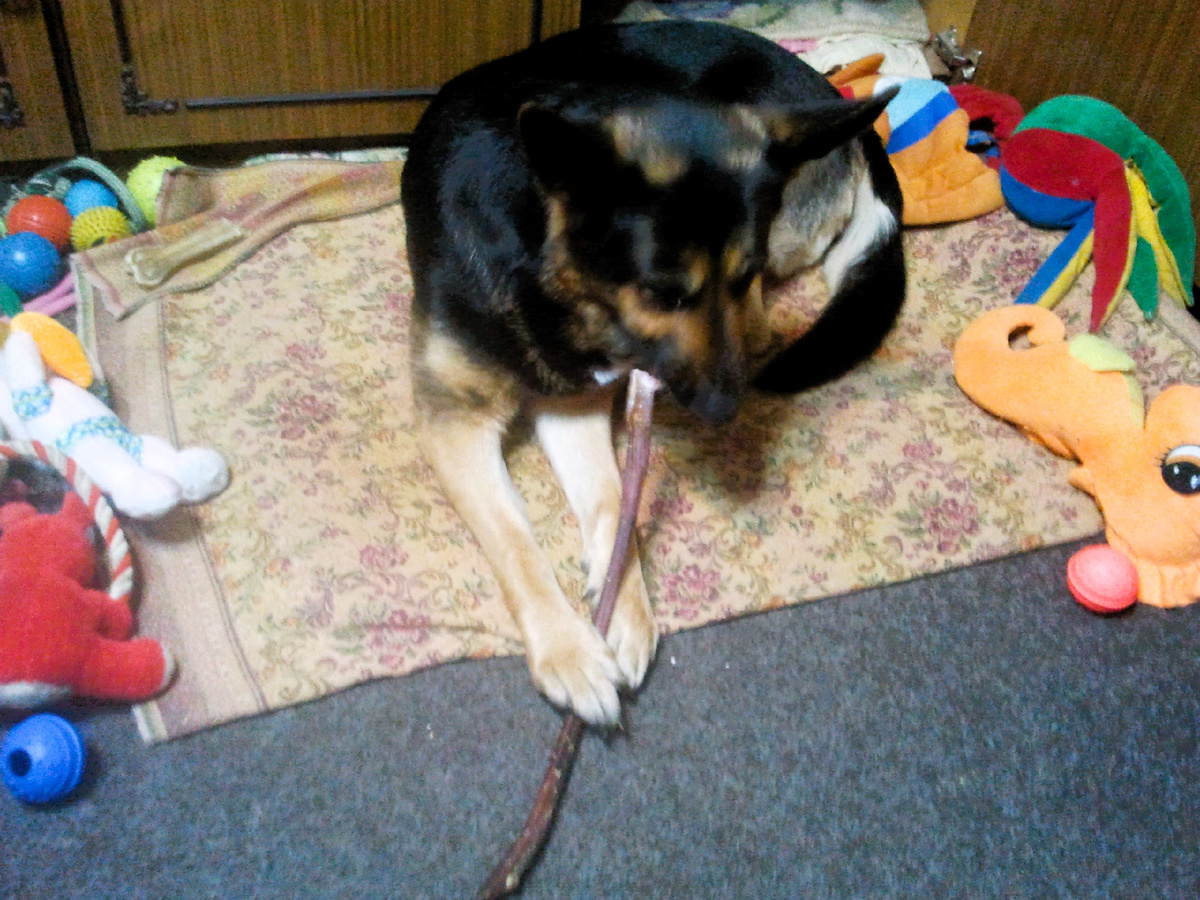 Фото автора