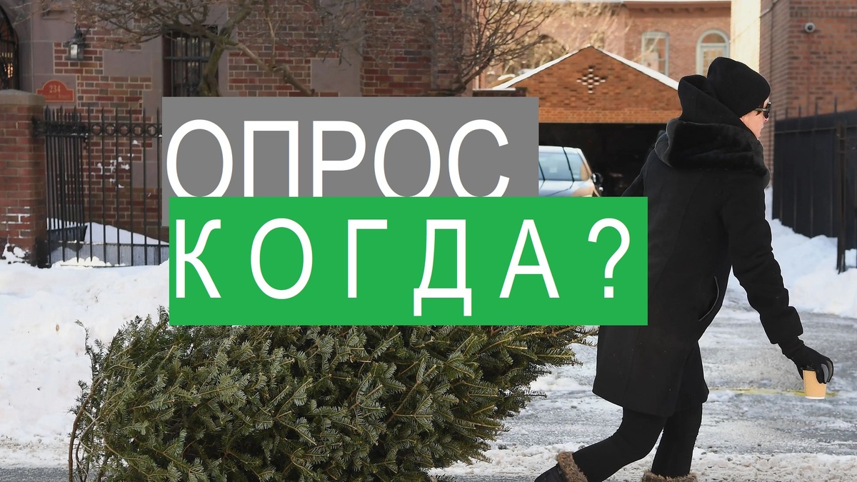 ОПРОС!!! КОГДА НУЖНО ВЫБРАСЫВАТЬ ЕЛКУ???