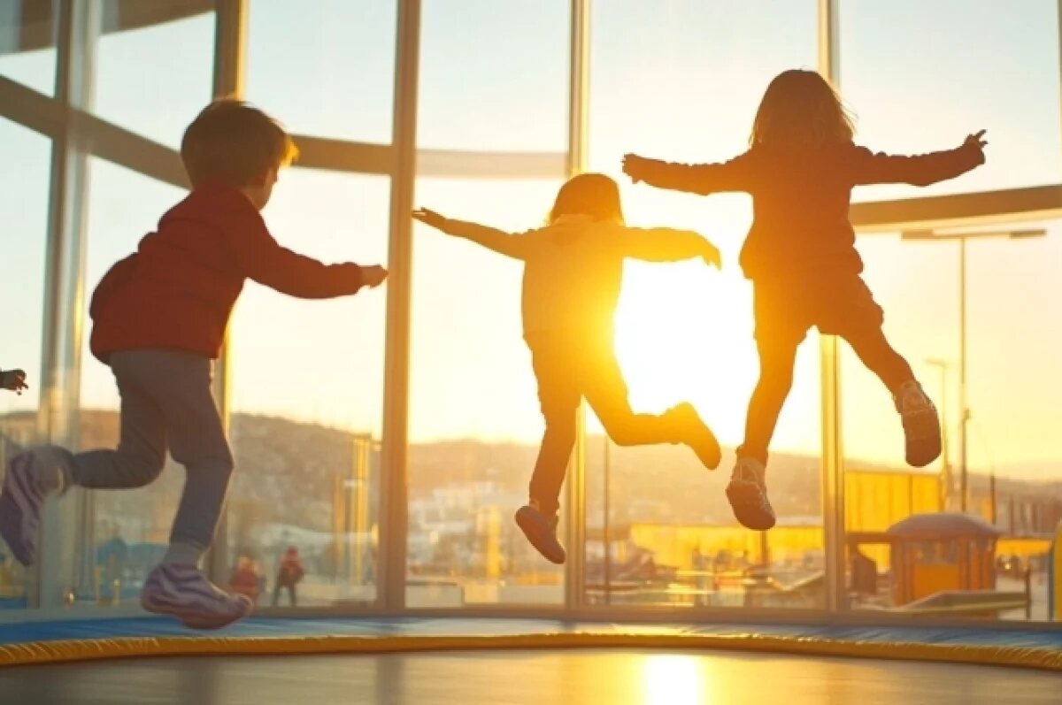    Хабаровского предпринимателя осудили за травмы детей