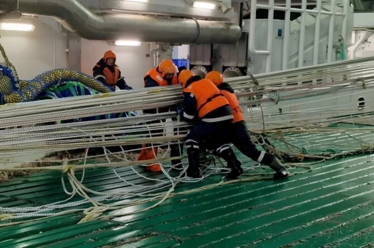    На Камчатке белорыбица с путины поступит на прилавки по соцпроекту