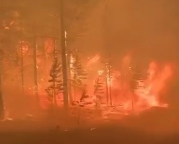    Фото: t.me/mchsYakutia_vopros Анастасия Давыдова