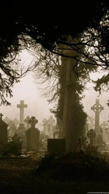 Изображение взято из открытых источников интернета. 