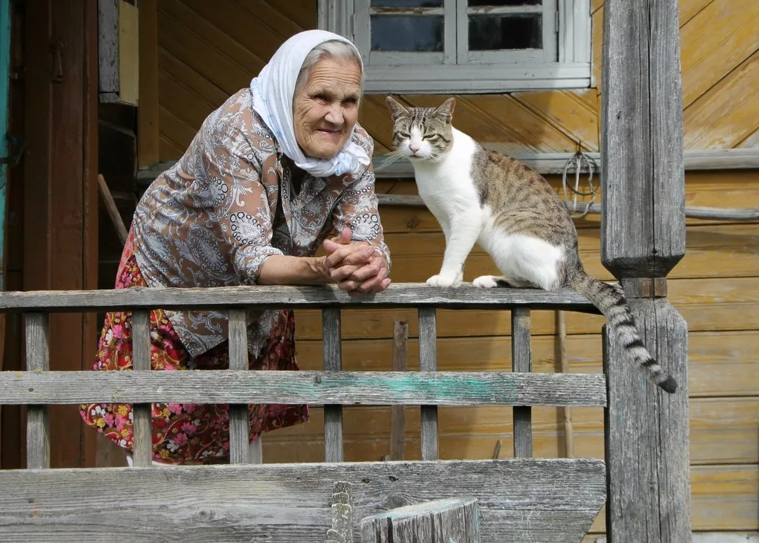 Яндекс картинки