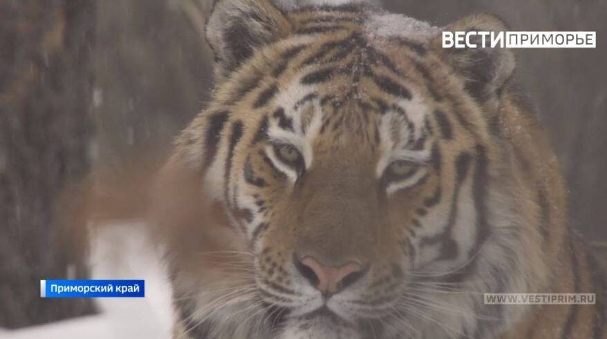    Источник фото: