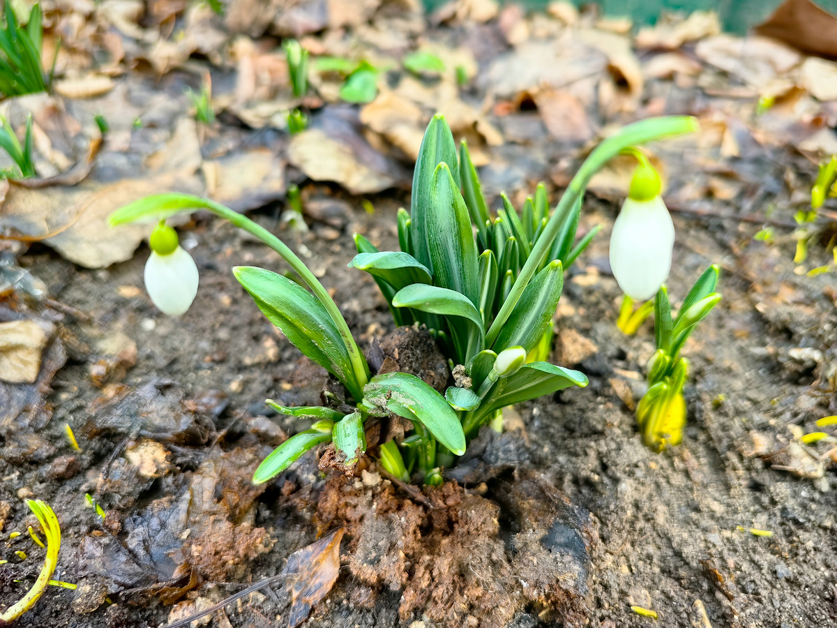 Сегодня. Фото автора канала