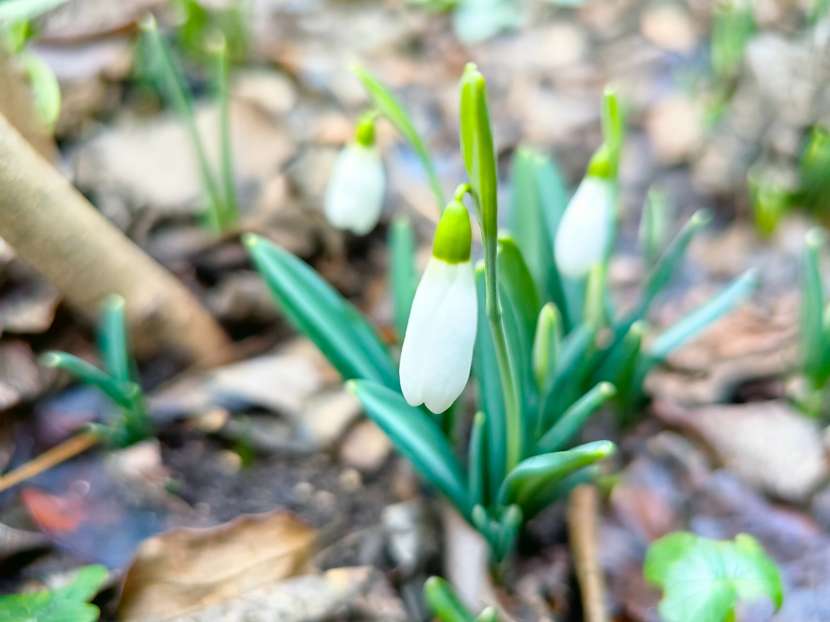 Сегодня. Фото автора канала