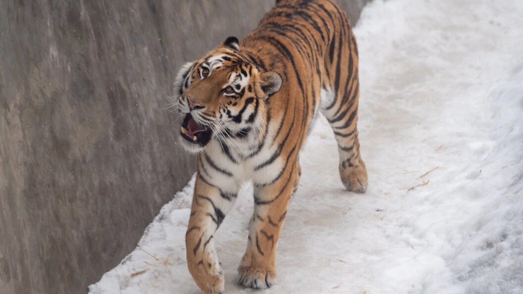    Komsomolskaya Pravda/Globallookpress