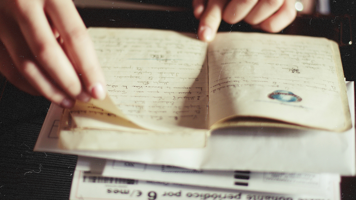 Дневник немецкого офицера. 