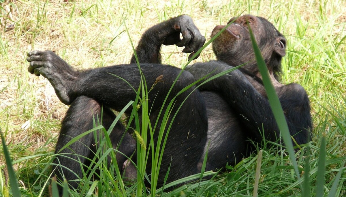 Фото из открытых источников.