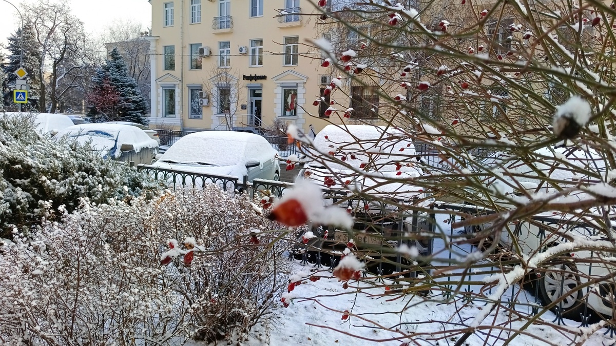     Источник: 1MI