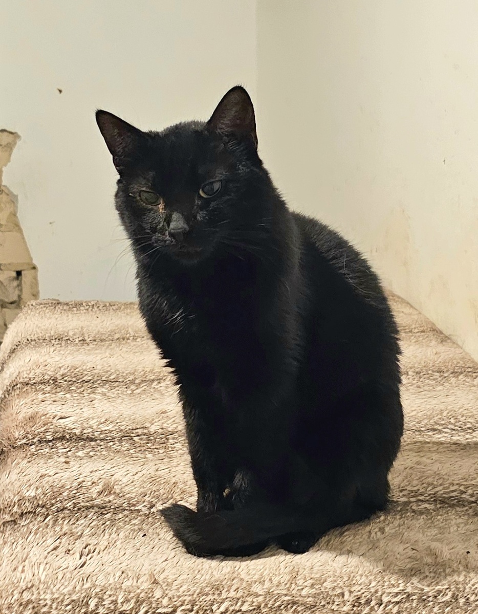 Фото автора. Маша.