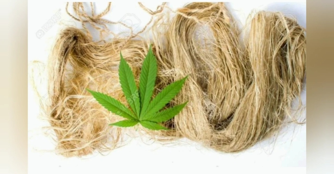 Яндекс.картинки