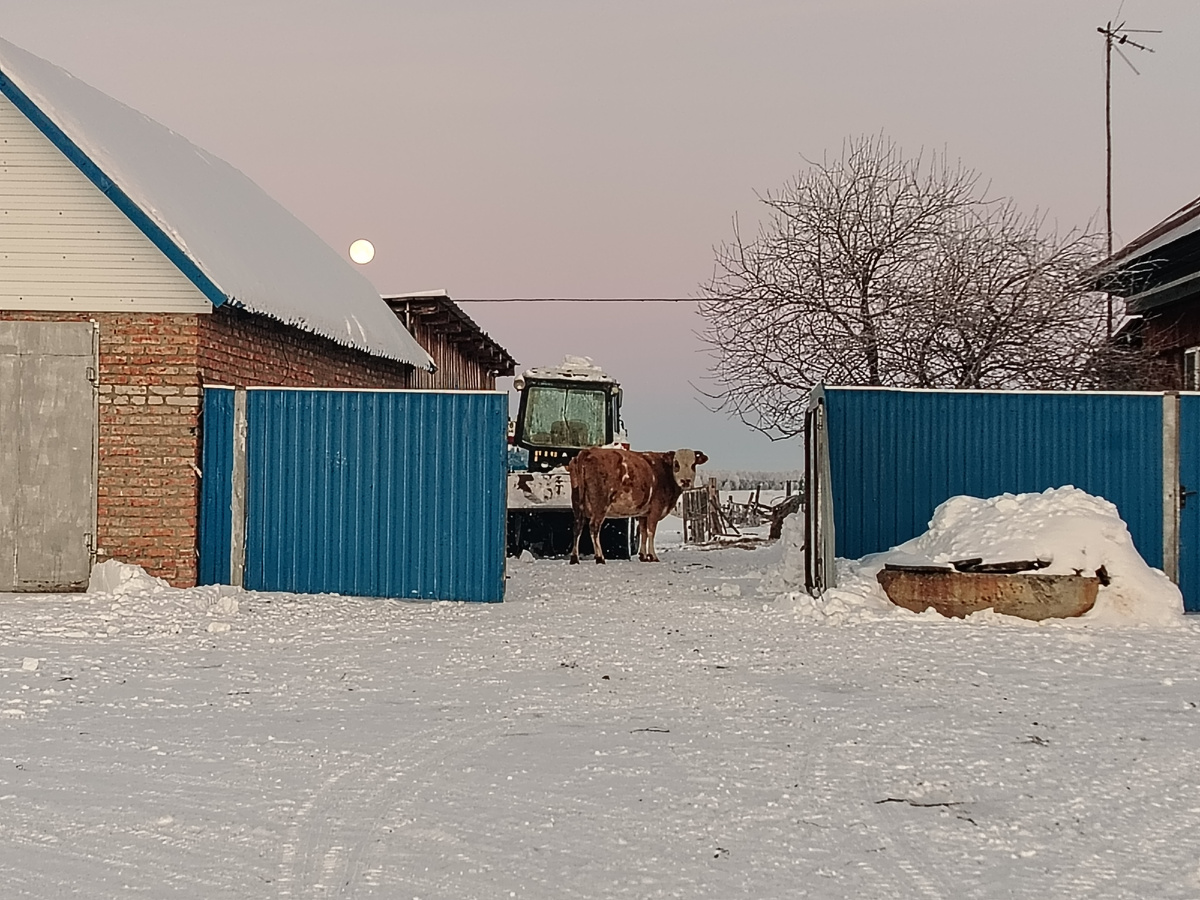 Смотрит так, словно я ей должен