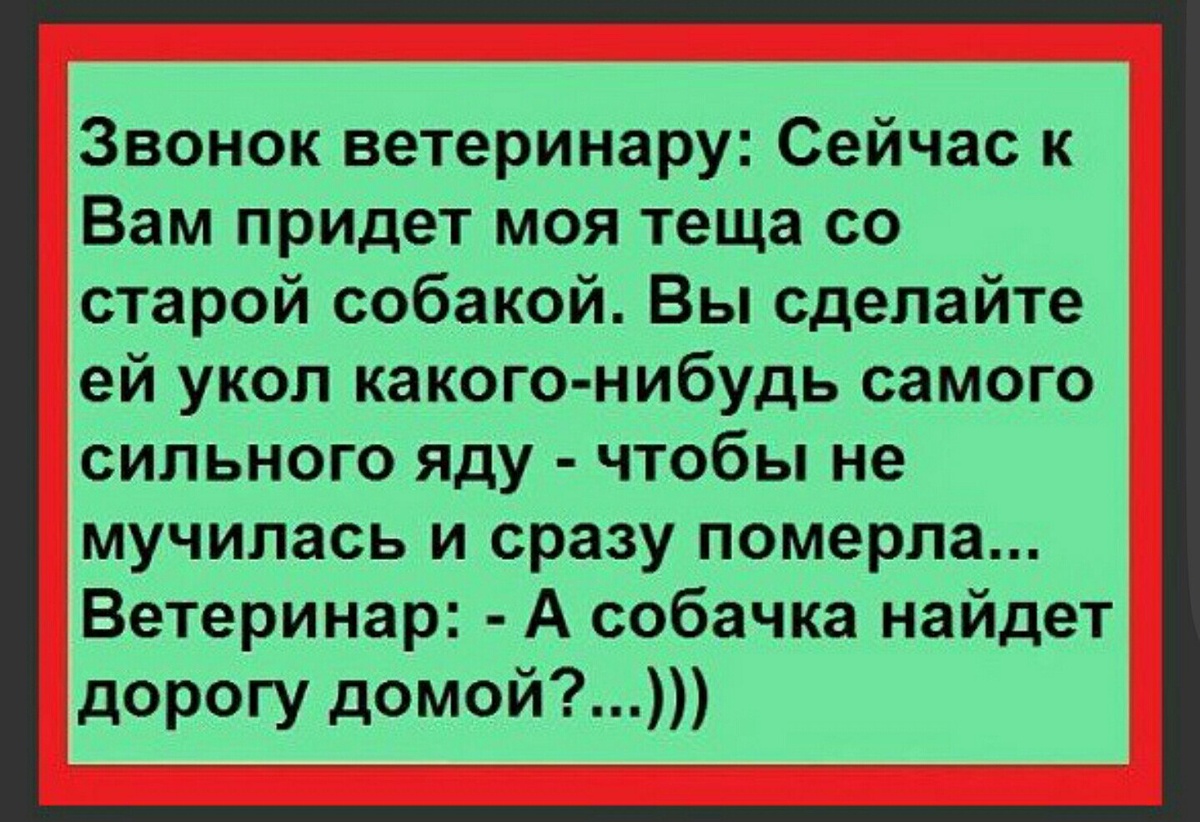    Физика смеха: анекдоты, которые заряжают позитивом