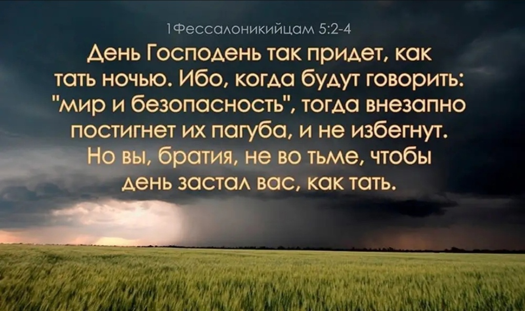 Яндекс.картинки