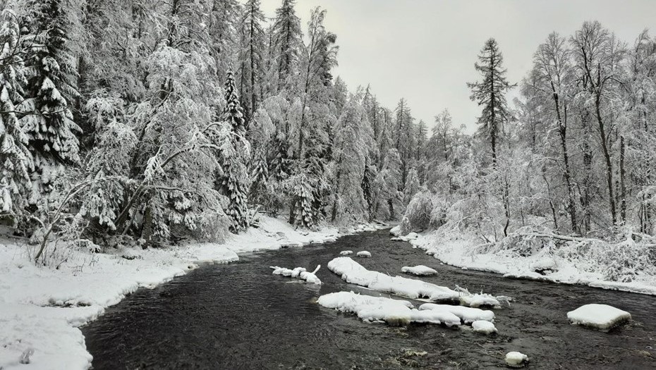    Автор фото: ooptlo.ru