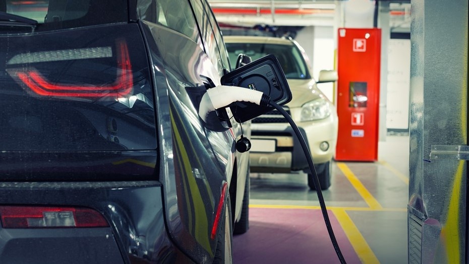    Автор фото: vostock-photo