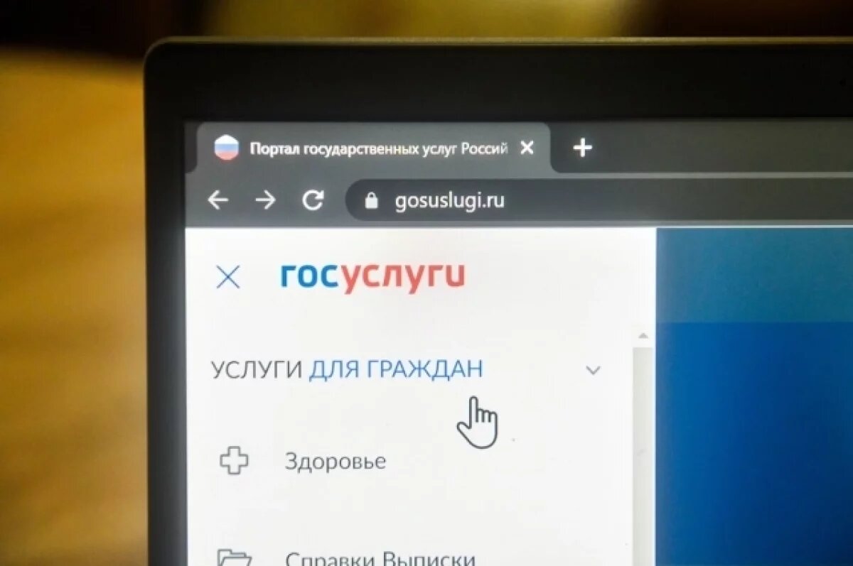    Стали известны госуслуги, которыми чаще пользовались туляки в 2024 году