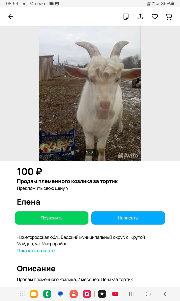 -2