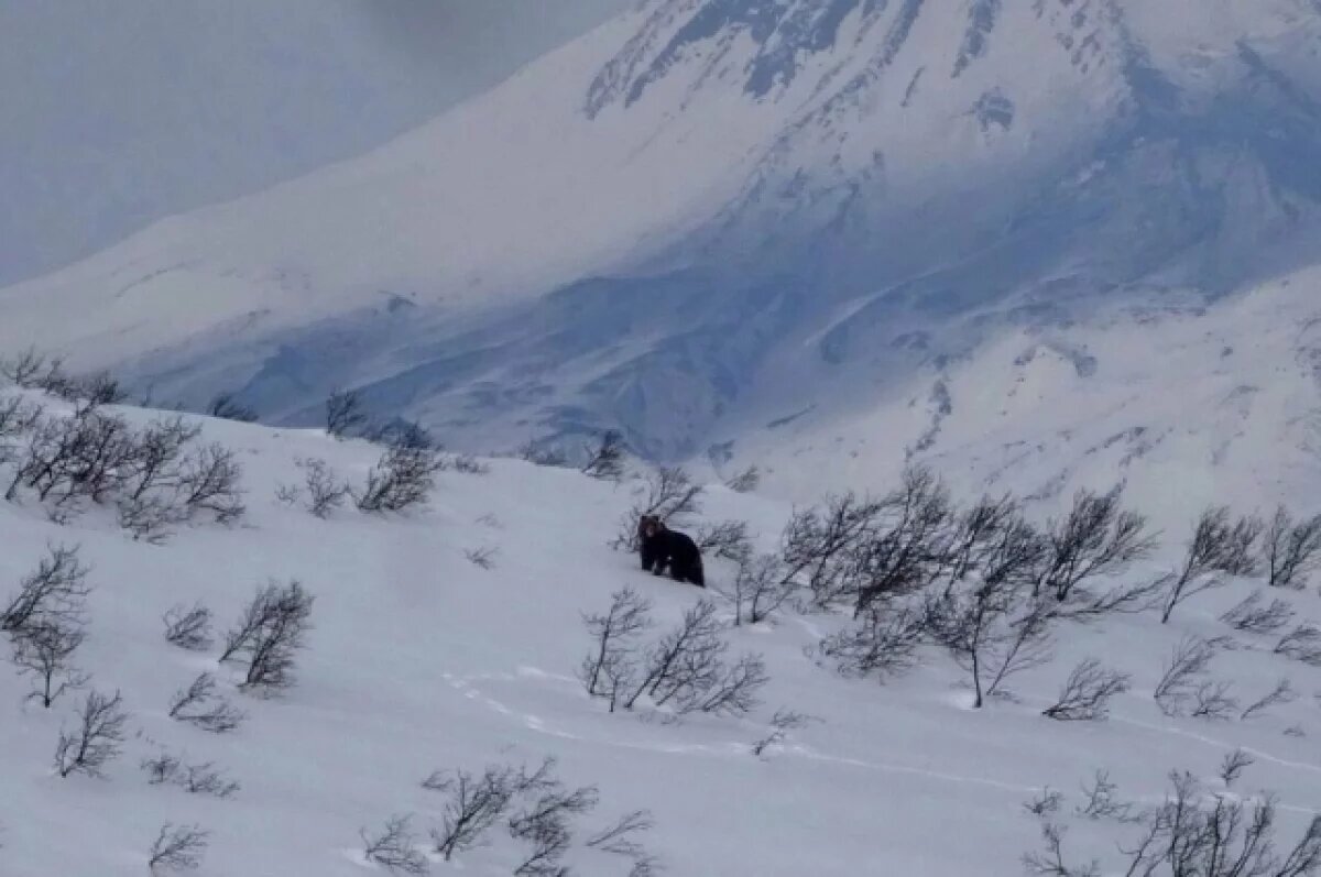    На Камчатке открылась часть зимних маршрутов в природном парке «Налычево»