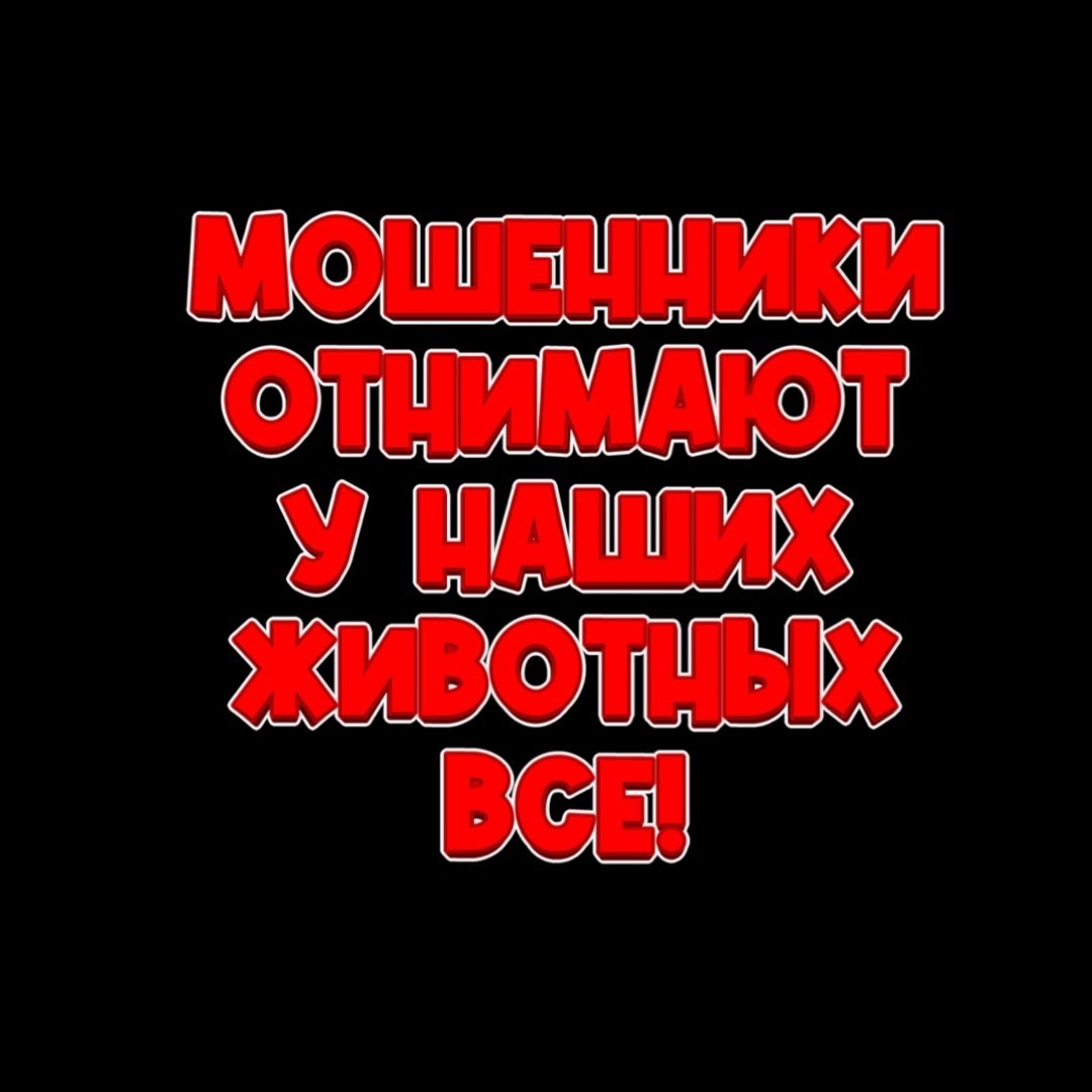 Ситуация просто ужасная!